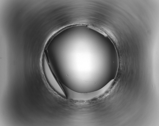 X0000095130944200712211327