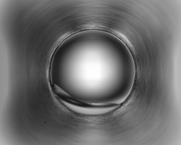 X0000095130946200712211327