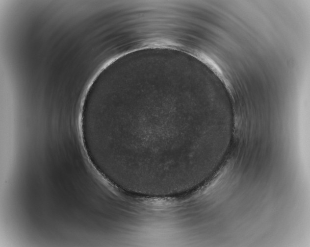 X0000095130947200712211327