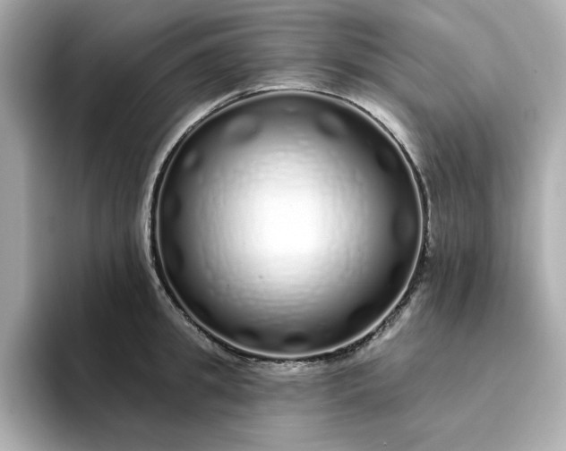 X0000095130949200712211327