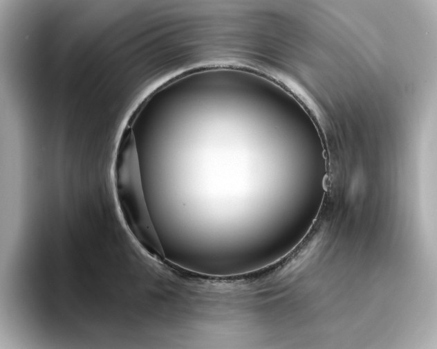 X0000095130951200712211327