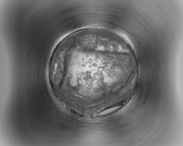 X0000095130952200712211327