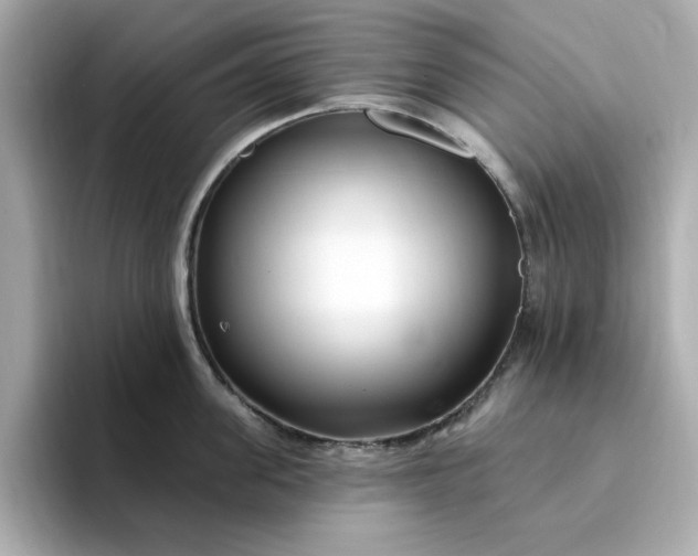 X0000095130955200712211327