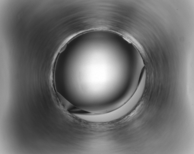 X0000095130956200712211327