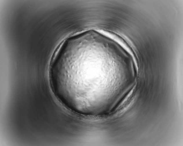 X0000095130957200712211327