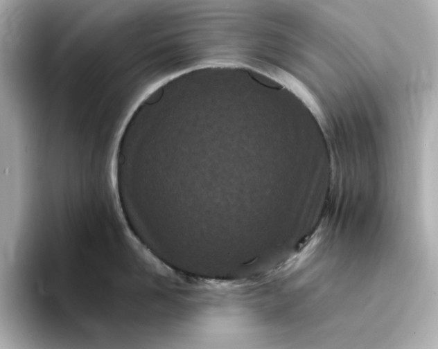 X0000095130958200712211327