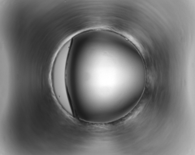 X0000095130959200712211327