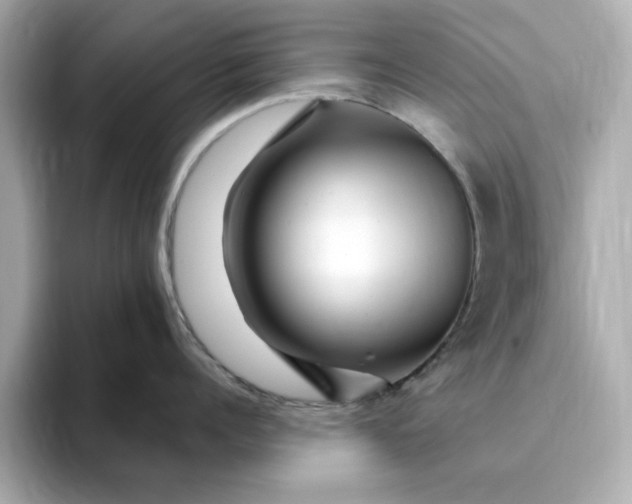 X0000095130960200712211327