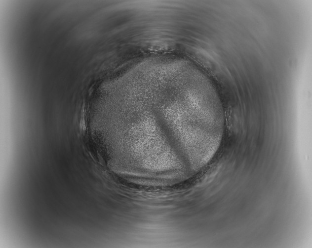 X0000095130962200712211326