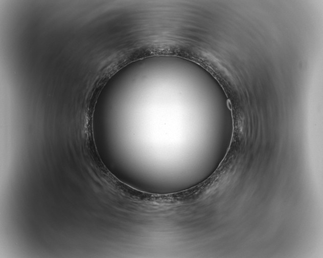 X0000095130964200712211326