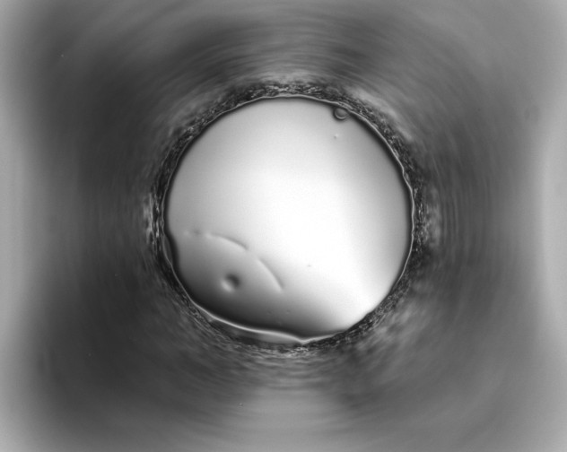 X0000095130966200712211326