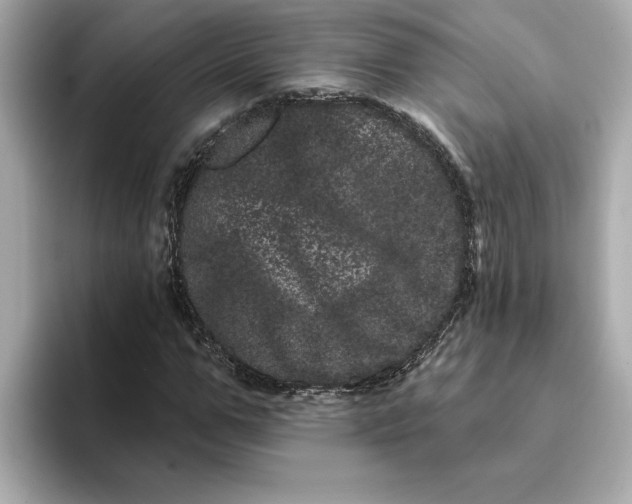 X0000095130967200712211326