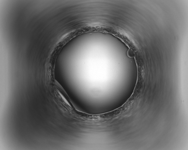 X0000095130968200712211326