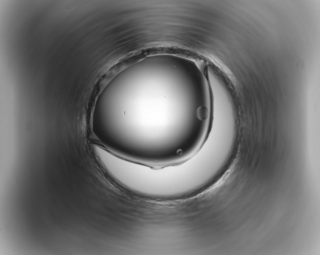 X0000095130969200712211326