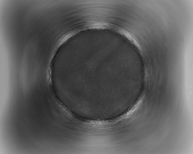 X0000095130970200712211326