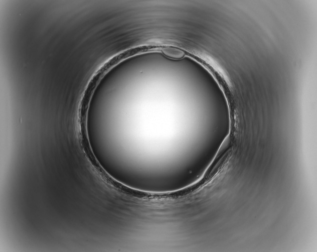 X0000095130972200712211326