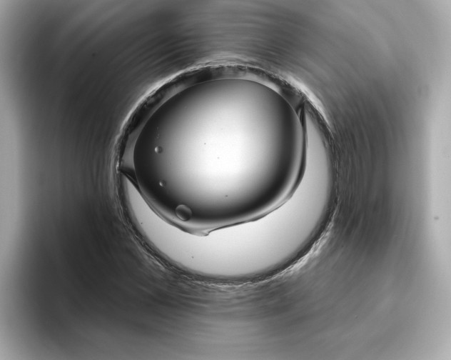 X0000095130973200712211326