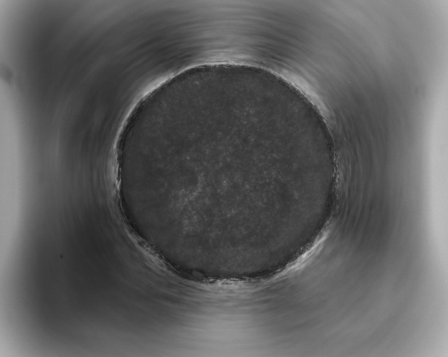 X0000095130974200712211326