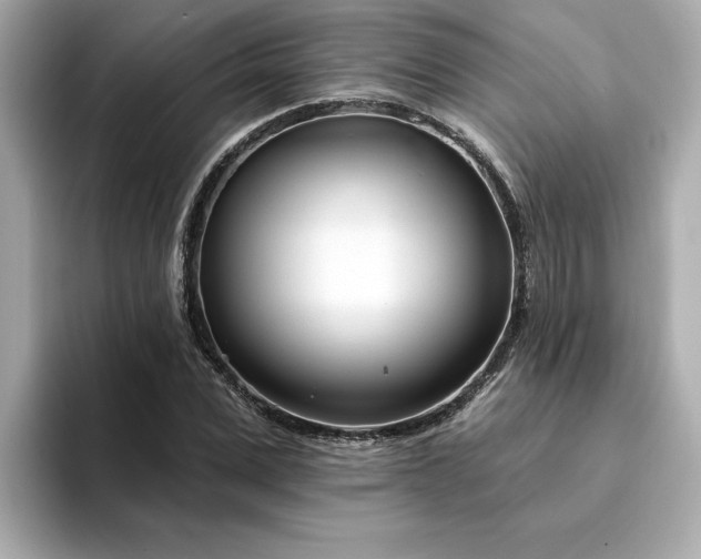 X0000095130975200712211326