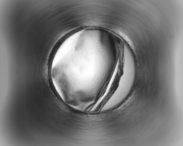 X0000095130976200712211326