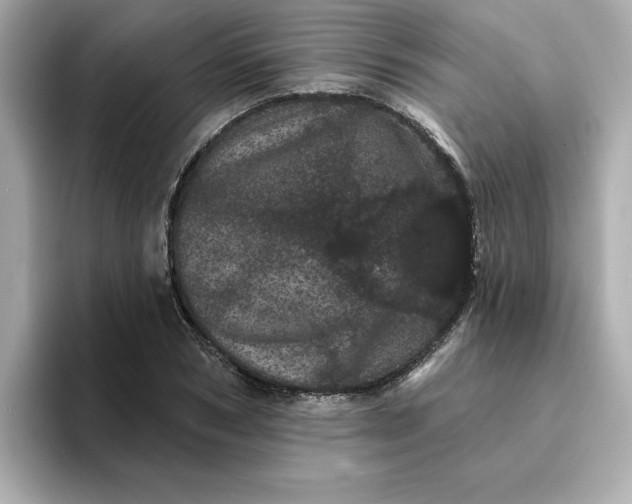 X0000095130978200712211326