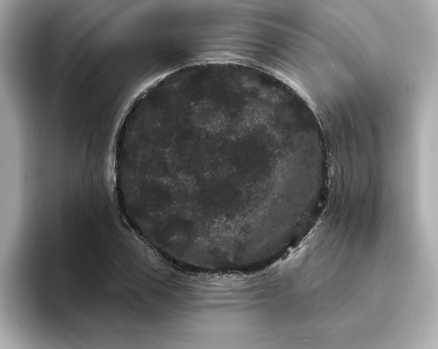 X0000095130979200712211326