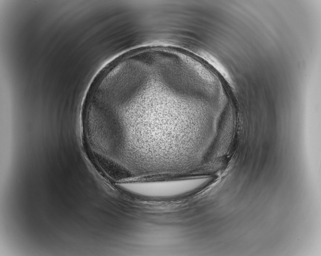 X0000095130980200712211326