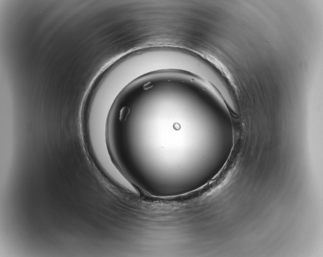 X0000095130981200712211326