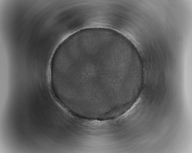 X0000095130982200712211326