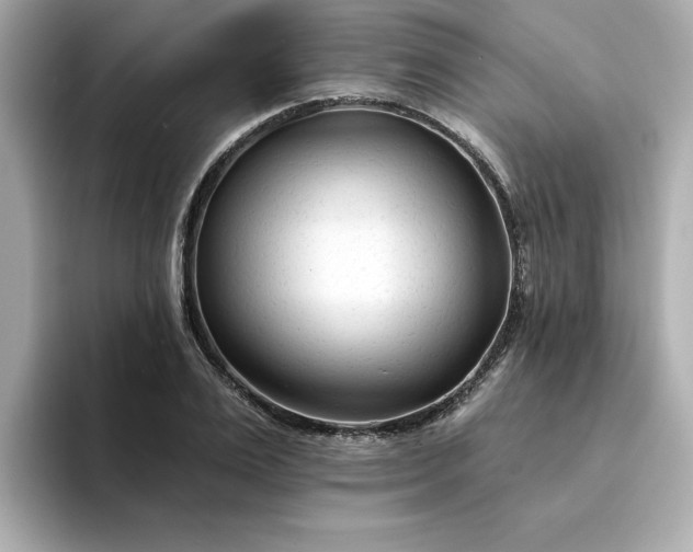 X0000095130983200712211326