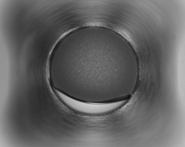 X0000095130984200712211326