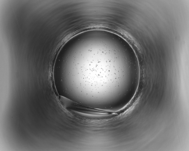 X0000095130985200712211326