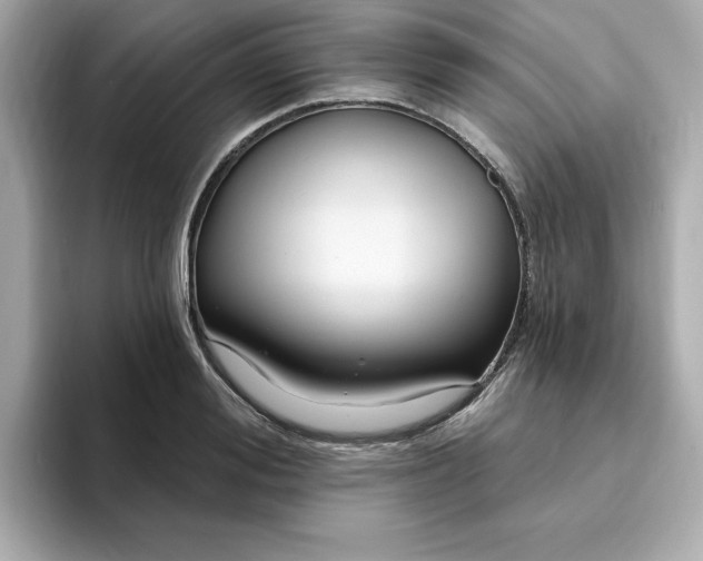 X0000095130988200712211326