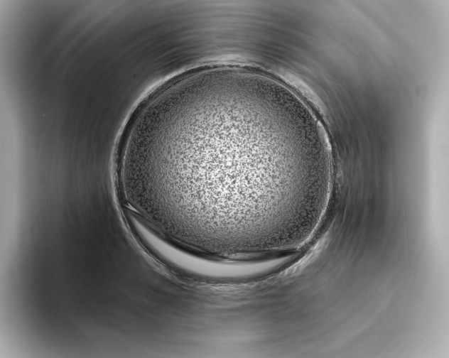 X0000095130989200712211326