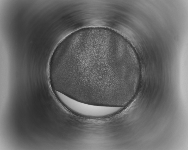 X0000095130990200712211326