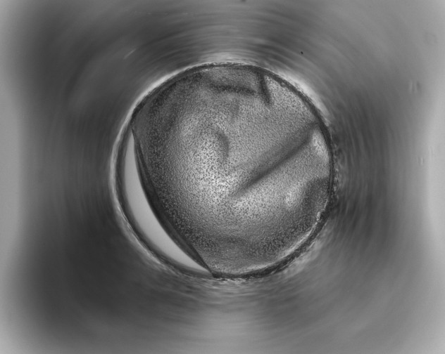 X0000095130991200712211326