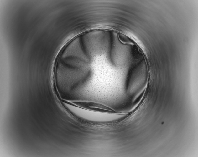 X0000095130994200712211326