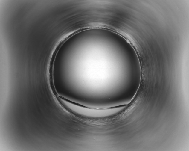 X0000095130995200712211326