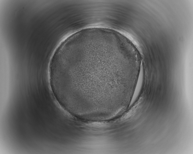 X0000095130998200712211326