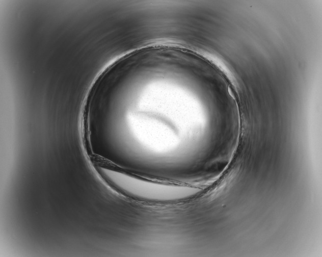 X0000095130999200712211326