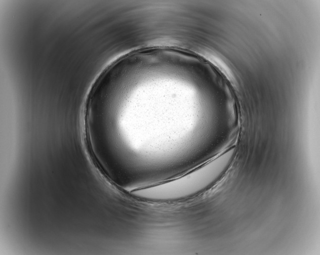 X0000095131000200712211326