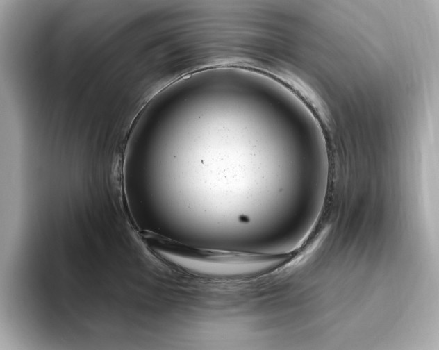 X0000095131001200712211326