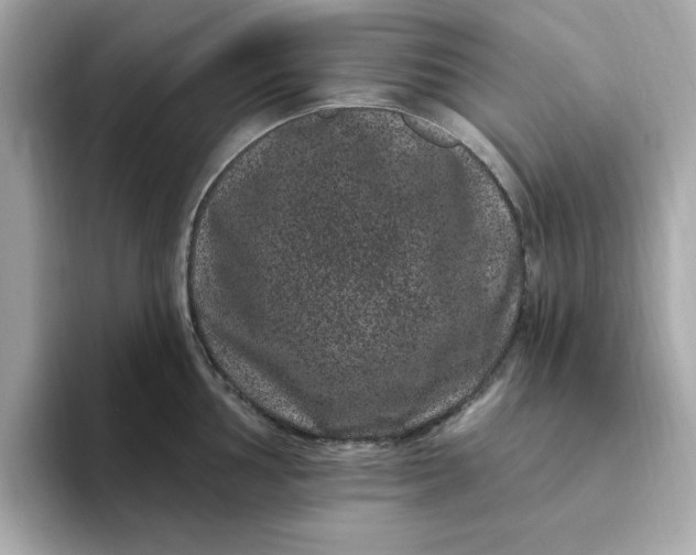 X0000095131002200712211326