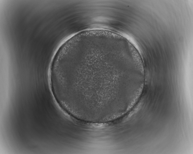 X0000095131003200712211326