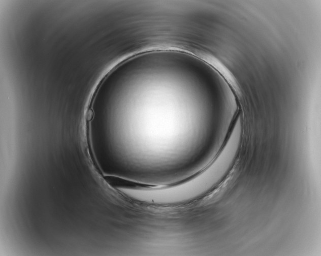 X0000095131004200712211326