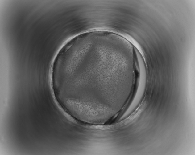 X0000095131005200712211326