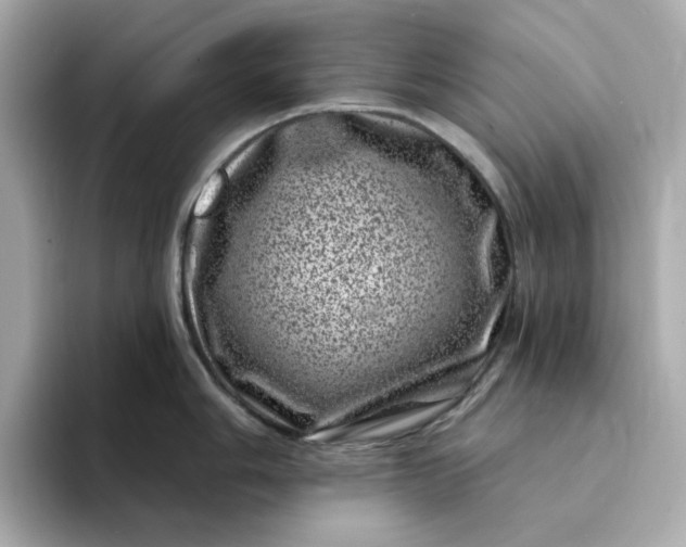 X0000095131006200712211326