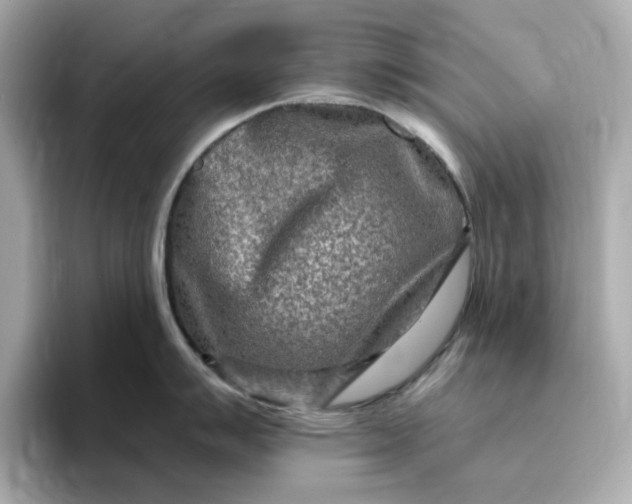 X0000095131007200712211326