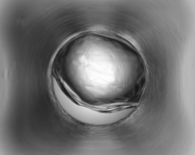 X0000095131008200712211326