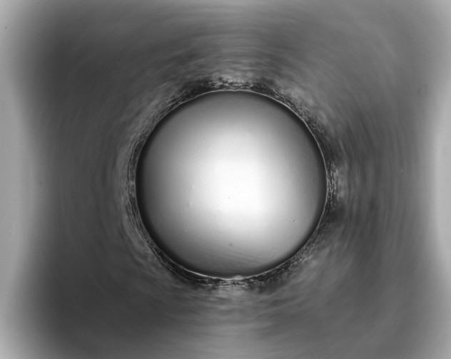 X0000095131009200712211325